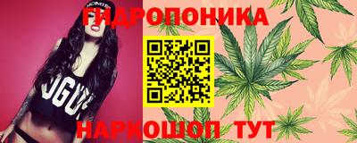 ПСИЛОЦИБИНОВЫЕ ГРИБЫ Будённовск