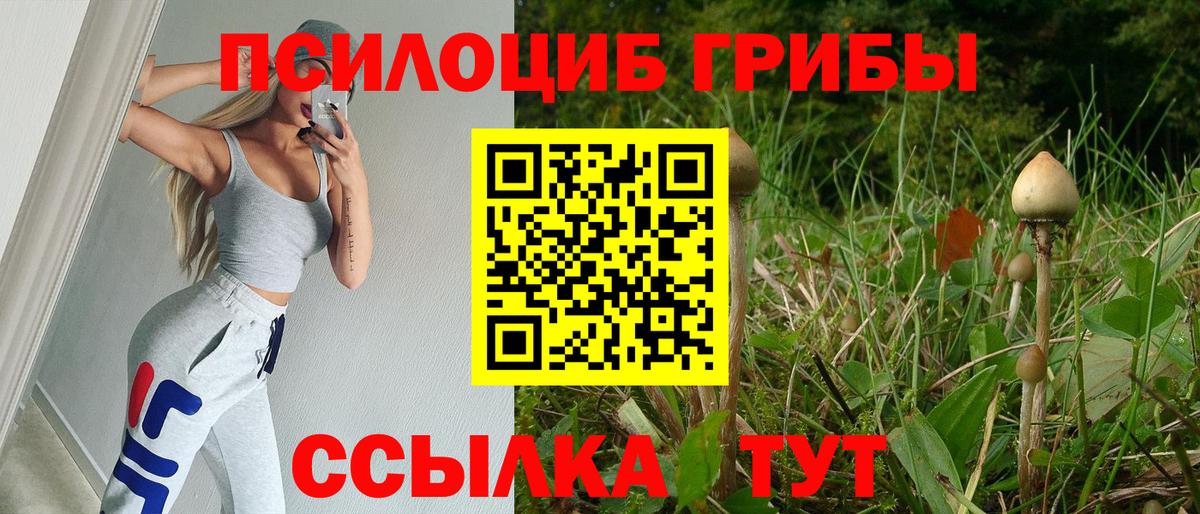 Галлюциногенные грибы Psilocybe Шахты