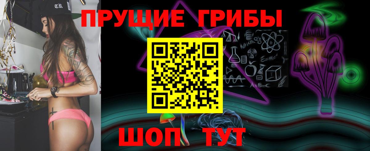 Шахты  Псилоцибиновые грибы GOLDEN TEACHER  Вход с VPN 